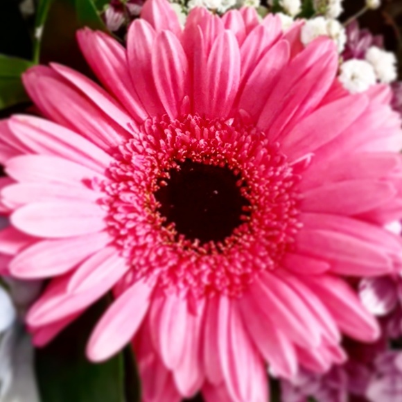 Meet your Posher, R - Picture 1 of 1